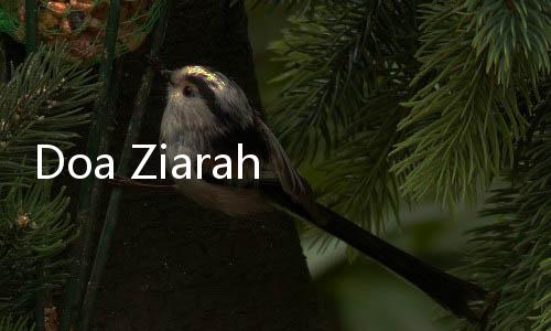 Doa Ziarah Kubur Orang Tua Lengkap dengan Tata Caranya